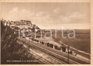 Cartolina originale da collezione 1940 ca RODI GARGANICO FG Panorama della spiaggia Cartolina FG NV 1