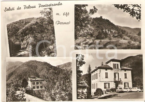 Cartolina originale da collezione 1950 ca PELOSA PONTESTRAMBO PR Vedutine con Trattoria BOTTINI Cartolina FG NV 1