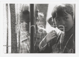 Materiale cinematografico d’epoca 1995 CINEMA  LA MÃ”ME SINGE Fu DI Chang HUNGMEI  Foto 18x12 cm 1