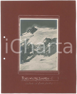 Fotografia d epoca originale 1900 ca ALPI LEPONTINE Rheinwaldhorn ADULA salendo al Lenta Sucke  Foto 12x17 1