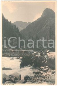 Fotografia d epoca originale 1925 ca VALLE D AOSTA Mucche sul ponte della Dora di Val Ferret  Foto 20x30 cm 1