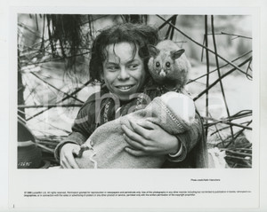 Materiale cinematografico d’epoca 1988 CINEMA  WILLOW Warwick DAVIS Foto 25x20 cm 1