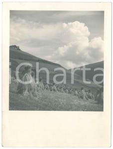 Fotografia d epoca originale 1940 ca LOMBARDIA  Panorama con covoni Foto artistica 18x24 cm 1