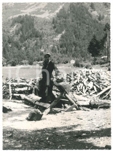 Fotografia d epoca originale 1950 ca LOMBARDIA  AMPI  Donna tra la legna tagliata Foto artistica 17x23 cm 1