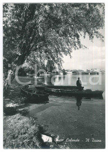 Cartolina originale da collezione 1951 SESTO CALENDE Barche e uomo in riva al LAGO MAGGIORE Cartolina FG VG 1