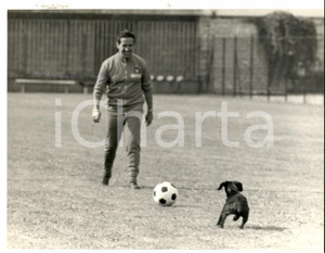 Fotografia d epoca originale 1967 SAN PELLEGRINO CALCIO INTER Helenio HERRERA scherza con un cane Foto 1