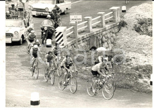 Fotografia d epoca originale 1961 CICLISMO GIRO D ITALIA Arnaldo PAMBIANCO con il gruppo sul FALZAREGO Foto 1