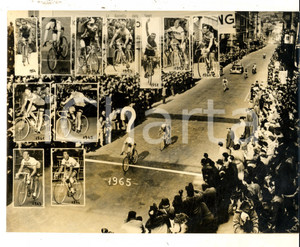 Fotografia d epoca originale 1965 CICLISMO MILANOSANREMO I vincitori delle passate edizioni Foto 24x18 cm 1