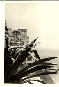 Fotografia d epoca originale 1960 GENOVA NERVI La riviera sotto la prima nevicata di gennaio Foto 13x18 1
