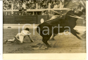 Fotografia d epoca originale 1957 BAYONNE Torero Luis DOMINGUIN cade davanti al toro Foto DANNEGGIATA 1