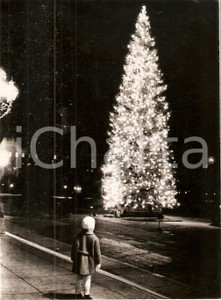 Fotografia d epoca originale 1969 WIEN AUSTRIA Bambino ammira albero di Natale Foto 17x14 cm 1