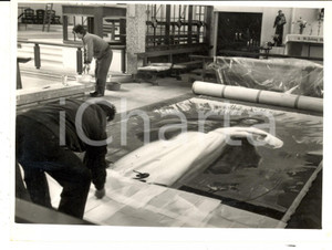 Fotografia d epoca originale 1962 HAYES UK Pietro ANNIGONI preparing painting for church IMMACULATE HEART 1
