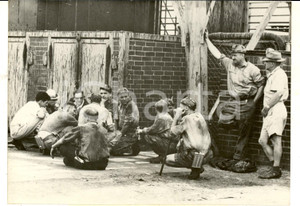 Fotografia d epoca originale 1960 CLYDESDALE SUDAFRICA Soccorritori in attesa per i 440 minatori sepolti 1