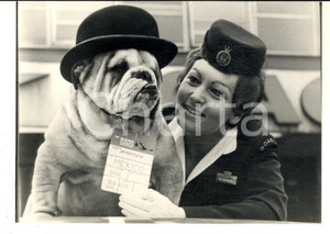 Fotografia d epoca originale 1970 MESSICO MONDIALI CALCIO Bulldog WINSTON mascotte squadra inglese Foto 1