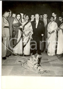 Fotografia d epoca originale 1960 NEW DELHI Nikita KRUSCEV riceve una tigre da Rani PADMAUATI moglie Maharaja 1