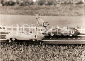 Fotografia d epoca originale 1965 ca LONDON Azure tit looks at  toy cars on race track Foto 18x13 cm 1