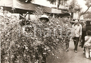 Fotografia d epoca originale 1972 HANOI Seller of flowering branches for CHINESE NEW YEAR Year of rat Foto 1