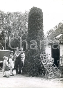 Fotografia d epoca originale 1959 SCARRINGTON Children help blacksmith to create horseshoes pile Photo 1