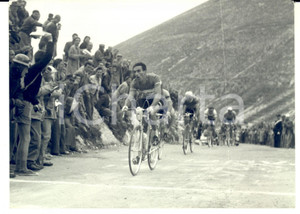 Fotografia d epoca originale 1955 CICLISMO GIRO D ITALIA Raphael GEMINIANI in testa sul Macerone Foto 1
