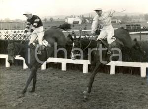 Fotografia d epoca originale 1960 CHELTENHAM GOLD CUP RACE  Bill REES wins on Pas Seul Photo 20x15 1