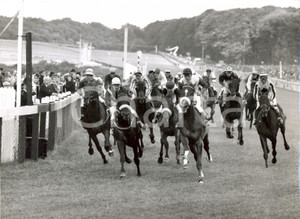 Fotografia d epoca originale 1959 GOODWOOD SUSSEX Stewards  Cup  Tudor Monarch wins the horse race Photo 1