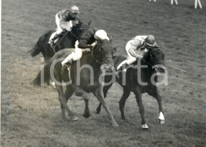 Fotografia d epoca originale 1960 NEWMARKET UK Cesarewitch Handicap  Doug SMITH wins on Alcove Photo 1