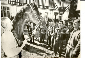Fotografia d epoca originale 1960 CHANTILLY Equipe de France de football avec le cheval CHARLOTTESVILLE Photo 1