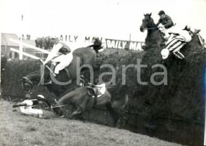 Fotografia d epoca originale 1960 LIVERPOOL National Steeplechase  George ROBINSON on Team Spirit falls down 1