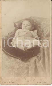 Fotografia d epoca originale 1870 ca LONDON Ritratto di bambina su una poltrona  Foto H. T. REED CDV 1