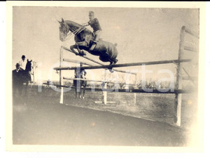Fotografia d epoca originale 1902 TORINO IPPICA Cavallo NINICHE durante un esercizio Foto VINTAGE 12x9 cm 1