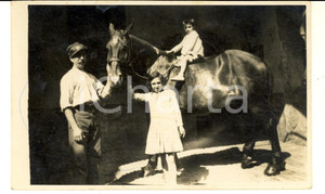 Fotografia d epoca originale 1931 AREA LOMBARDA Ritratto di famiglia con cavallo  Foto cartolina VINTAGE 1