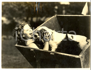 Fotografia d epoca originale 1937 CINEMA Shirley TEMPLE gioca con il suo cane preferito  Foto 24x18 cm 1