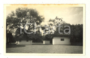 Fotografia d epoca originale 1964 MOZAMBICO Safari  Case per i cacciatori  Foto VINTAGE 14x8 cm 1