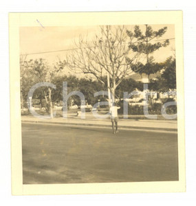 Fotografia d epoca originale 1972 NAMPULA MOZAMBICO PraÃ§a Neutel de Abreu  Foto ANIMATA 9x9 cm 1