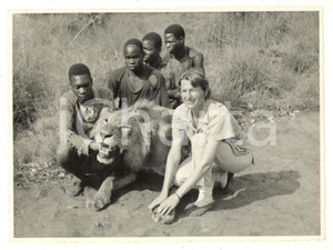 Fotografia d epoca originale 1960 ca ANGOLA Parco naturale  Studiosa con un leone Fotografia 24x18 1