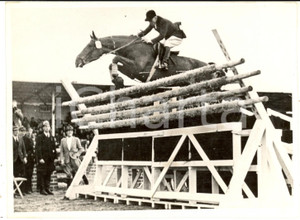 Fotografia d epoca originale 1951 WARENDORF IPPICA Fritz THIEDEMANN stabilisce nuovo record di salto Foto 1
