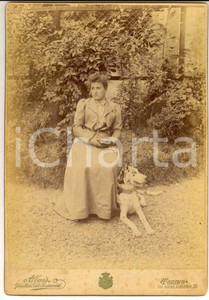 Fotografia d epoca originale 1910 ca TORINO Ritratto di donna in giardino con il cane Foto ALLAIS 18x25 cm 1