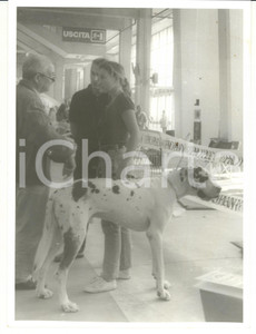Fotografia d epoca originale 1990 ca GENOVA Partecipanti Esposizione Internazionale Canina Foto VINTAGE 1