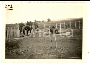 Fotografia d epoca originale 1940 ca COLONIALISMO MADAGASCAR Contadino presso un pozzo in scavo Foto 9x6 1