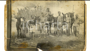 Fotografia d epoca originale 1915 ca WW1 ZONA DI GUERRA Soldati con muli da abbeverare  Foto DANNEGGIATA 1