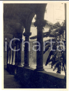 Fotografia d epoca originale 1929 PALMA DI MAIORCA Chiostro della cattedrale  Fotografia ARTISTICA 12x16 cm 1