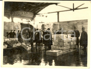 Fotografia d epoca originale 1915 ca WW1 ITALIA Un deposito di pesce alluvionato Foto ANIMATA RARA 12x8 cm 1