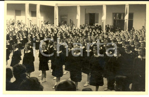 Fotografia d epoca originale 1950 ca ITALIA Collegio femminile  Alunne al saggio di ginnastica  Foto 1