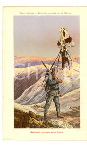 Cartolina originale da collezione 1915 ca WW1 FRONTE ITALIANO Sentinella avanzata sullo Stelvio Cartolina FP NV 1