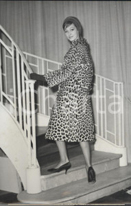 Fotografia d epoca originale 1959 PARIS MODE Fourrures  Manteau de panthÃ¨re ARIOSO avec martingale Photo 1
