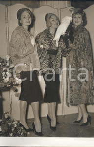 Fotografia d epoca originale 1957 PARIS MODE Fourrures  Collection automnehiver 1958 Henri STERN Photo 1