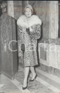 Fotografia d epoca originale 1959 PARIS MODE Fourrures  CrÃ©ation CANADA FURS pour l hiver Photo 1