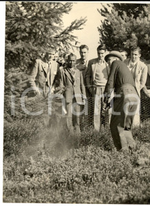 Fotografia d epoca originale 1953 Ryder Cup GOLF  WENTWORTH  Sam SNEAD in the rough  Photo 15x20 1