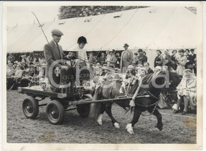Fotografia d epoca originale 1956 ROYAL WINDSOR HORSE SHOW Linda SHAW drawing the Charrington cart Photo 1