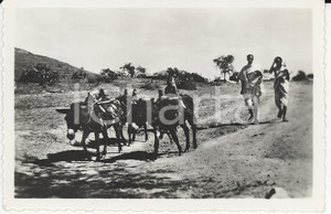 Fotografia d epoca originale 1935ca A.O.I. ETIOPIA Ritratto di pastori etiopi VERA PHOTO cm 5,8x9 1